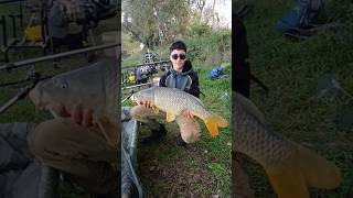 CARPA di 7 kg PESCA A FEEDER con Bigattino fishing carpfishing [upl. by Ettenirt]