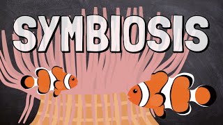 What is Symbiosis [upl. by Shipley596]