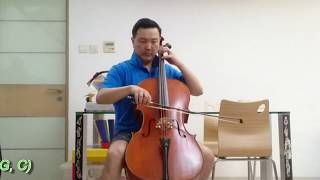 Versum vs Magnacore Cello Strings [upl. by Kelsi]