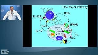 Anticytokine Autoantibodies Causes Concomitants and Complications of Infectious Diseases [upl. by Puiia976]