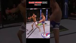 Back sweep kick martialarts mma ufc [upl. by Eilahs]