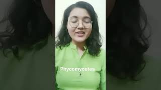 Phycomycetes  Biological classification 💚neet botany mnemonic neet2025 trending shorttricks [upl. by Yorke]