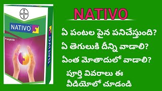 Best fungicide Bayer Nativo full specifications In teluguNativo fungicide full informationagri [upl. by Ximenes]