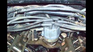 Grand Cherokee Limited 52 V8  Miki Motors [upl. by Muiram]