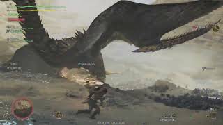 Monster Hunter Wilds Beta test煌雷龍 [upl. by Henig]