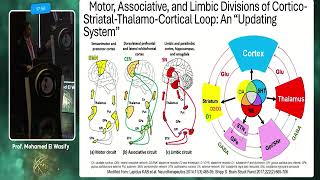 Diagnosis and Treatment of Anhedonia الشغف [upl. by Arait]