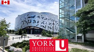 York University Campus Full Tour 2024 [upl. by Tracay767]