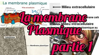 La membrane plasmique partie 1 quot1 année snvquot [upl. by Nnyliram]