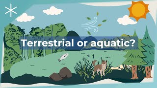 Terrestrial or aquatic [upl. by Amick17]