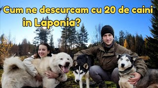 Viata la Tara printre Caini Husky in Nordul Suediei [upl. by Marl]