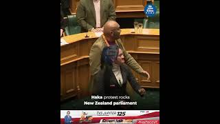 Haka protest rocks New Zealand parliament [upl. by Aerdied]