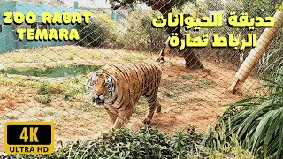 أجمل جولة في حديقة الحيوانات الرباط تمارة Park Zoologique Rabat Temara [upl. by Grani]