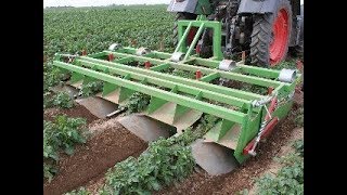 Baselier  GKB  Potato Crop Cultivation  ChemicalFree  Mechanical  Weed Control [upl. by Louanna]