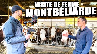 VISITE DUNE FERME LAITIERE🤠  EN CHARTREUSE  VACHE MONTBELIARDE🐄 [upl. by Haseena]