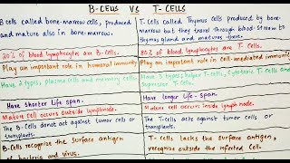 B  Cells Vs T  Cells an easy way to learn in Hindi and Urdu [upl. by Ahtimat]