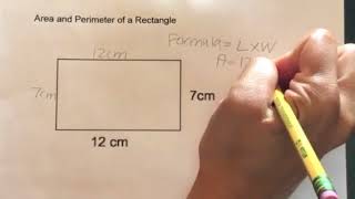 How to find the Area and Perimeter of a Rectangle [upl. by Lady]