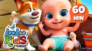 Animal Sounds  S2EP42 Musical Adventure Collection  LooLoo Kids Songs for Kids [upl. by Nnailuj]