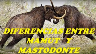 MAMUT Y MASTODONTE [upl. by Sherer954]