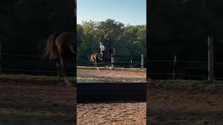 my ride on ms Georgia from monday horse equestrain edit eq riding [upl. by Chavey]