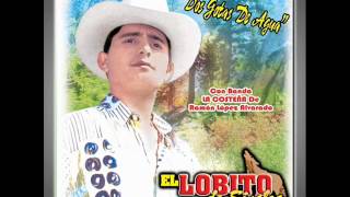 El Lobito De Sinaloa  Te Enseñe A Besar [upl. by Oiramd]