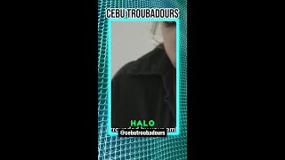 C822 Halo beyonce tedder cher cebutroubadours ngkhai ngenius [upl. by Zeiger184]