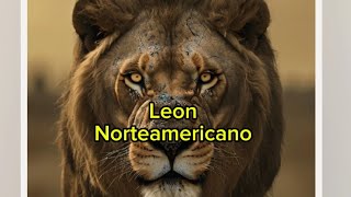 Criptozoología León Norteamericano [upl. by Kim718]