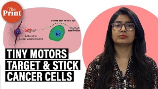 Scientists design tiny molecular machines that can target cancer cells [upl. by Anoiuq291]