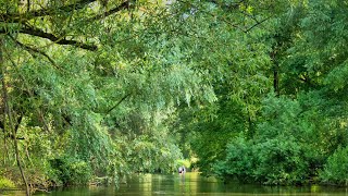 Gewässerschau auf der Alten Elz [upl. by Fidelio191]