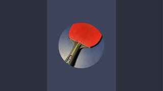 Table tennis 202410221 [upl. by Struve]