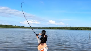 Hành Trình 2 Ngày Câu Cá Tra Khủng Tại Hồ Tự Nhiên Đá Bàn  2 days of wild fishing at Da Ban Lake [upl. by Hctub]