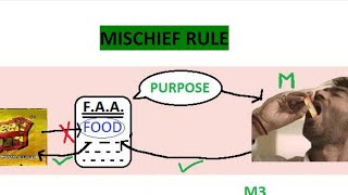 MISCHIEF RULE  INTERPRETATION OF STATUTES [upl. by Mariande]