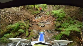 Sherco 300 SEF HARDENDURO TRAINING [upl. by Trant258]