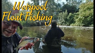 Float Fishing  Weir Pool Magic Video 262 [upl. by Yumuk]