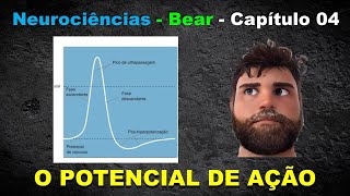 Neurociências  Bear  Capítulo 04 [upl. by Landsman]