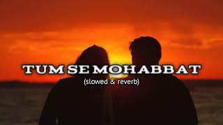 Tum se Mohabbat song  New song  hindi song  lofi song song trendingsong lofisong [upl. by Nove637]