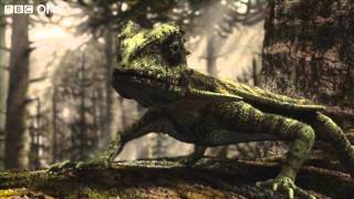 Flying Microraptor  Planet Dinosaur  Episode 2  BBC One [upl. by Jaimie971]