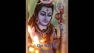 Om Namah Shivaya 🙏🙏🙏shortsyoutubeshorts shiva [upl. by Atig]