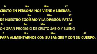 CANTOS PARA MISA  EUCARISTÍA MILAGRO DE AMOR  Pan Transformado  Letra y acordes  Comunión [upl. by Eseer]