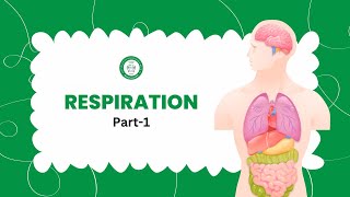 Respiration  Class 10 Science  Easy Explanation with Diagrams [upl. by Solange201]