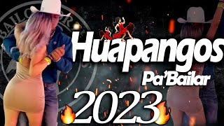 LOS MEJORES HUAPANGOS🔥🌪 Del 2023 [upl. by Aruasi]