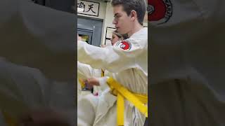 Эншин СПб  Enshin Karate Rus [upl. by Ereveneug]