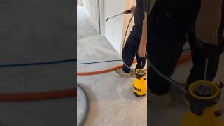 Even Clean Carpets Need A Retouch Every 36 Months ✅ carpetcleaning carpetcleaningservice [upl. by Zsuedat]