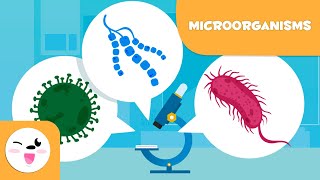 What are microorganisms Bacteria Viruses and Fungi [upl. by Ennaer]