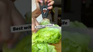 Keep your lettuce fresh for up to a month 🥬 cooking storage zerowaste healthylifestyle [upl. by Danczyk]