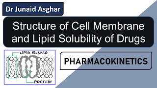 Cell Membrane  Lipid Solubility and Drug Absorption  Junaid Asghar PhD [upl. by Leonora]