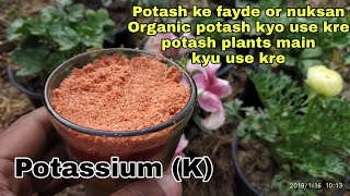 Potash plants ke liye kyu jaruri hota hai nuksan or fayde organic potash [upl. by Santini]