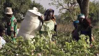 hessnatur  BioBaumwolle in Burkina Faso [upl. by Kcirrej]