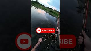 Carp Fly Casting FailsDome Shots fail carpflyfishing flycasting [upl. by Frodi]