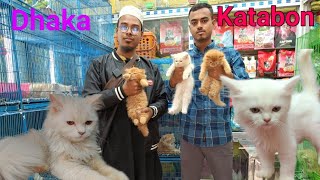 Biggest animal market Dhaka KatabonCat price in Bangladesh  Persian cat kitten price in Bangladesh [upl. by Eillek]