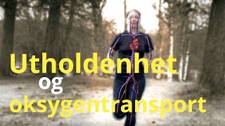 Utholdenhet og oksygentransport i kroppen [upl. by Woodsum215]